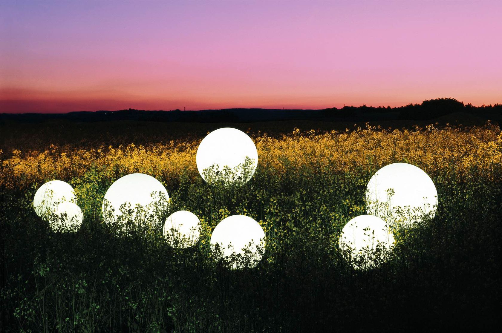 A cluster of glowing Moonlight spheres set among a flowering field at dusk, no people